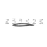 Industry Nine Torch Mountain Pawl & Hub Spring Kit