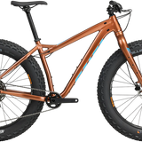 Salsa Heyday! CUES 2025 – Fat-Bike Aluminium