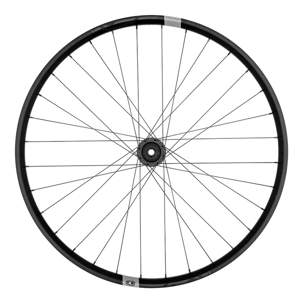 Synthesis Alloy Enduro Rear wheel